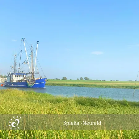 公寓 De Gracht Ein Echtes Nordlicht! 多鲁姆纽菲尔德