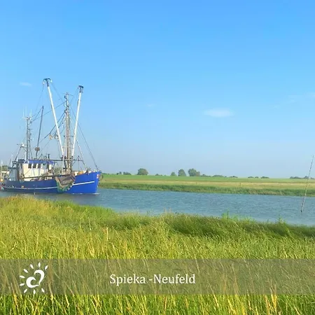 De Gracht Ein Echtes Nordlicht! *
