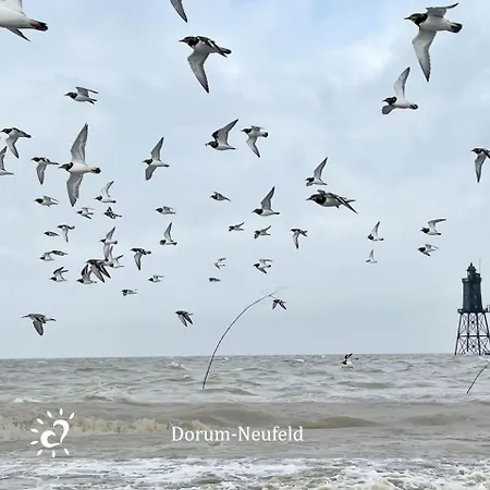 De Gracht Ein Echtes Nordlicht! 公寓